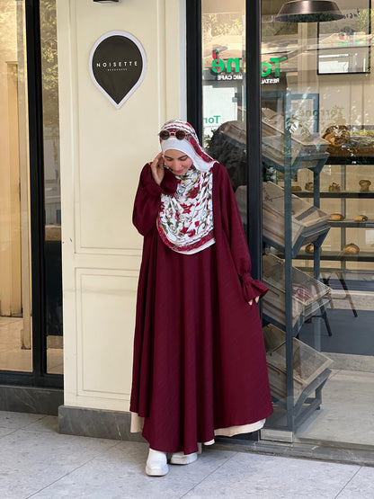 دريس كلوش